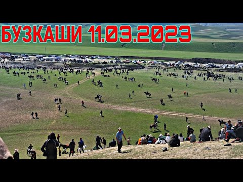 Видео: БУЗКАШИ 11.03.2023 / БУЗКАШИ 2023 БУЗКАШИ ЧОРДАРА 2023 БУЗКАШИ МАЧИТОН 202/БУЗКАШИ ТЧ БУЗКАШИ ВОСЕЪ