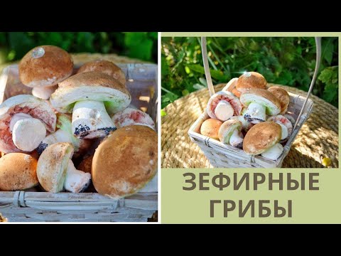 Видео: МК Часть 1🍄 ЗЕФИРНЫЕ ГРИБОЧКИ от Натальи Колбасовой🍄Мarshmallow mushrooms