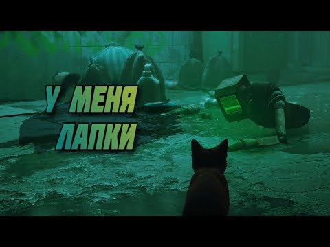 Видео: МЯУКАЮ НА ПРОТЯЖЕНИИ 40 МИНУТ - Stray#1