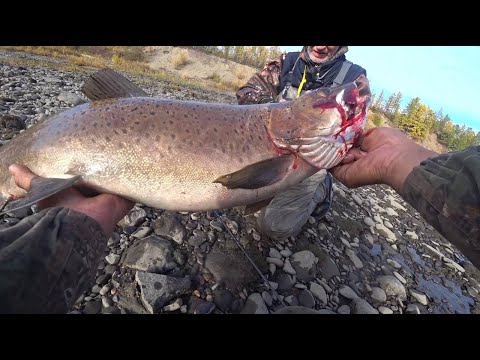 Видео: МИРОВОЙ РЕКОРД ЛЕНОК 5560 ГРАММ! НА ВОБЛЕР VR wobblers