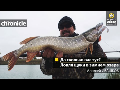 Видео: «Да сколько вас тут?»: ловля щуки в зимнем озере. Алексей Ивашков. Anglers Chronicle