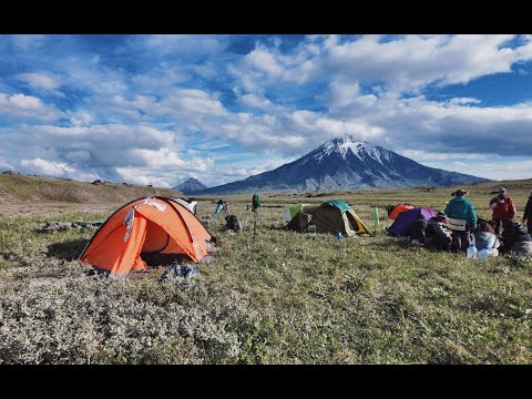 Видео: Камчатка, Вокруг Толбачиков | Вулканы, медведи, альмийские луга и другие прелести Камчатки