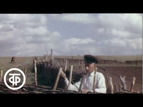 Видео: Вешенская земля (1974)