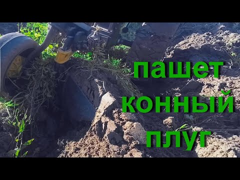 Видео: ПАШЕТ КОННЫЙ ПЛУГ ИЛИ СТАРЫЙ ПЛУГ ,БОРОЗДЫ НЕ ПОРТИТ.