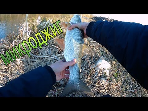 Видео: Жерех и голавль на силиконовые приманки