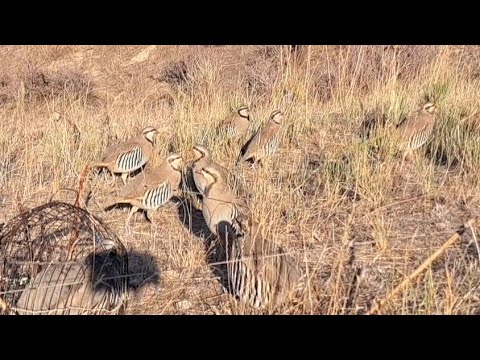 Видео: 19 сентября 2024 г.