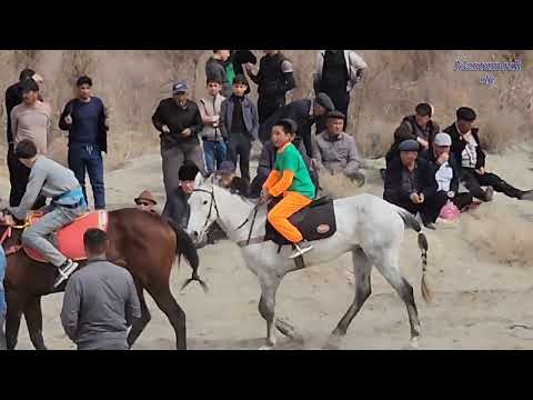 Видео: Tortkul Miskin At chapar 31.март.2024.