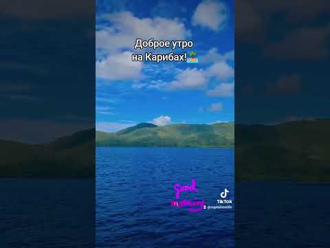 Видео: Доброе утро с Мартиники, друзья!#карибы #доброеутро #буднияхтсмена #жизньналодке #однивокеане