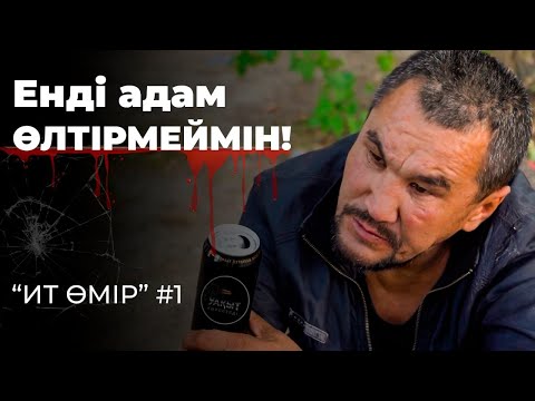 Видео: РЕСЕЙДІ ШУЛАТҚАН БОМЖ КІМ? | ИТ ӨМІР #1