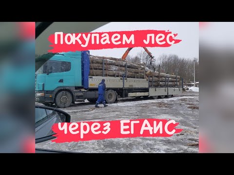 Видео: Пилорама, как бизнес. Покупка леса, через ЕГАИС.