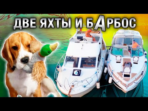 Видео: ШЕСТЕРО В ЛОДКАХ И БАРБОС  - в поисках ПРИКЛЮЧЕНИЙ! Рыбачим вниз по Волге. ч.1