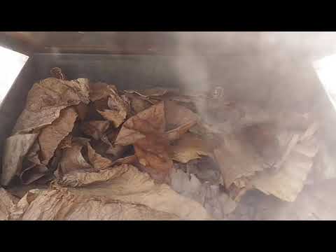 Видео: Коптим лист табака сами ( We smoke a leaf of tobacco ourselves )