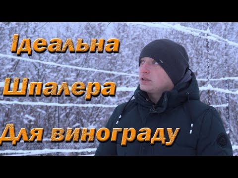 Видео: Ідеальна шпалера для винограду. Аналіз переваг і недоліків різних виноградних шпалер шпалер