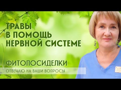 Видео: СПРАШИВАЛИ – ОТВЕЧАЕМ / Нервная система