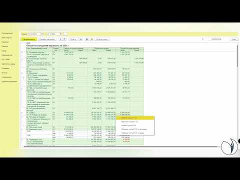 Видео: Практика в 1С. Анализ финансовой отчетности по данным БУ | Эльвира Сагетдинова. РУНО