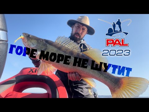 Видео: PAL 2023. Горе Море не шутит.