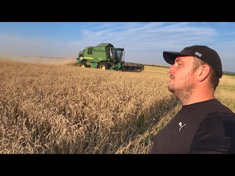Видео: Жнива 2023. Озима пшениця сіяна РУМом. Джон Дир 9560 WTS працюємо вперше . Обережно МАТ!