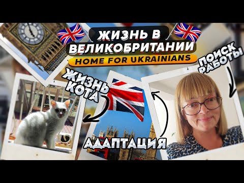 Видео: Homes for Ukrainians: Великобритания, мой опыт беженства