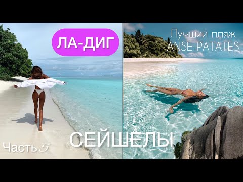 Видео: Остров ЛА- ДИГ. СЕЙШЕЛЫ, ЧАСТЬ 5 #ладиг #островладиг  #сейшелы