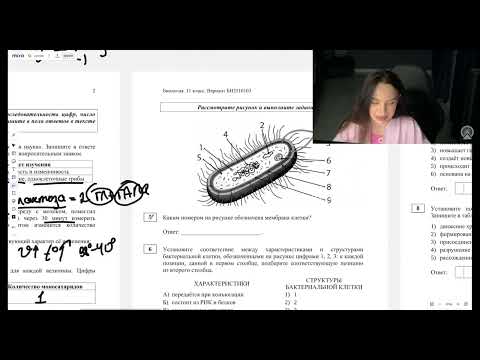 Видео: РАЗБИРАЕМ СТАТГРАД | Октябрь 1 вариант | Биология ЕГЭ