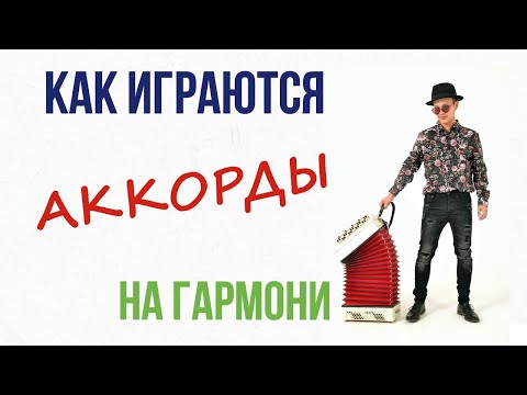 Видео: Аккорды на гармони