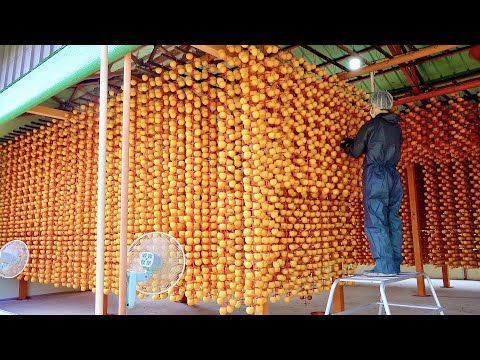 Видео: Красивый корейский традиционный процесс производства сушеной хурмы