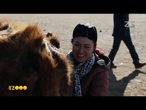 Видео: 21000 Хоёр зүрх нэг тэмүүлэл E7