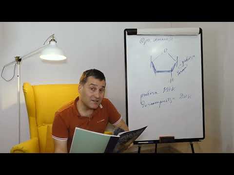 Видео: 9-ти клас. Урок №3. Част 4. Органична химия накратко. Въглехидрати. Липиди.