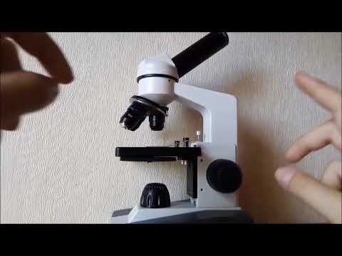 Видео: Мой микроскоп и что он видит.