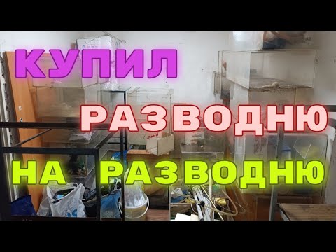 Видео: Приобрел кучу оргстеклянных банок и всякое прилагающееся к ним полезное барахлишко.