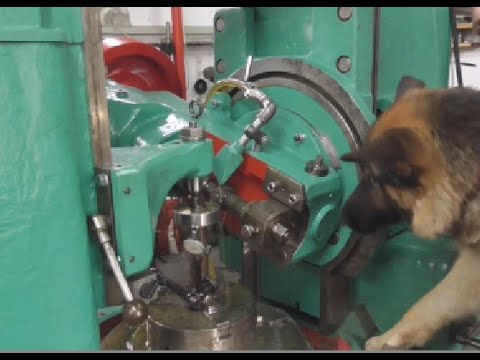 Видео: Носатий і Зуборіз. (Косозуба пара + зварка Р18)