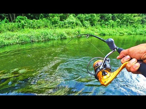 Видео: ЭТОГО Я ВООБЩЕ НИКАК НЕ ЖДАЛ! КОНКРЕТНО ПОЛОВИЛ! Рыбалка на спиннинг 2023.