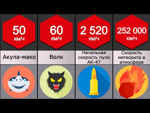 Видео: Сравнение: Скорость