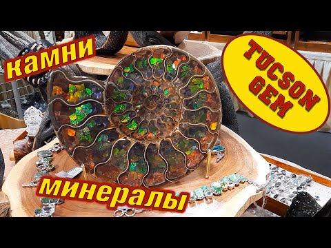 Видео: Международная ярмарка натуральных камней и минералов. TUCSON GEM AND MINERAL SHOW