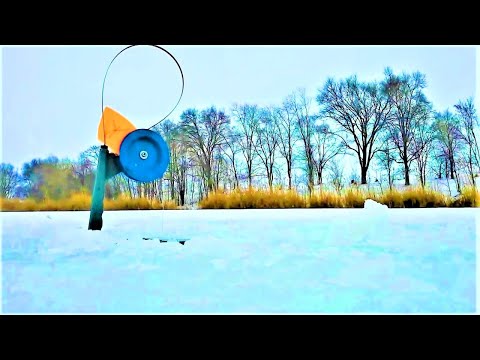 Видео: ПЕРВЫЙ ЛЁД он ЩЕДРЫЙ!!! Ловля ЩУКИ на ЖЕРЛИЦЫ. Зимняя рыбалка на жерлицы
