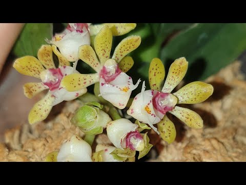 Видео: Уррраааа!!!!! Наконец-то всё готово,всё расставила😁😍