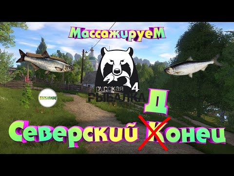 Видео: 🔴РУССКАЯ РЫБАЛКА 4 (RUSSIAN FISHING 4)🔴 - СТРИМ. ТРОФЕЙНЫЙ ПОДУСТ. СЕВЕРСКИЙ ДОНЕЦ.