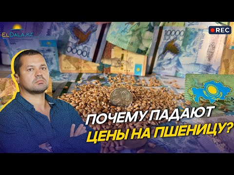 Видео: Пять причин снижения цен на пшеницу в Казахстане. Как раньше уже не будет?