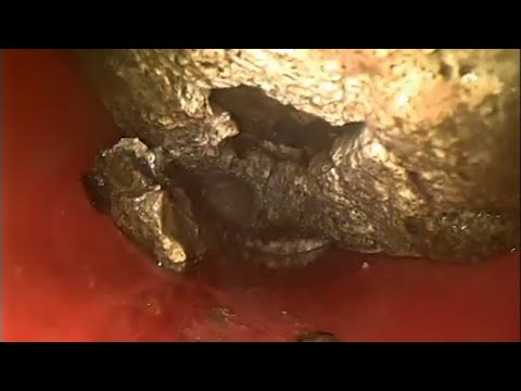 Видео: Kempinger 275. Глупые никогда не вымирают, причиняют ущерб и затраты. Но есть хорошие ребята