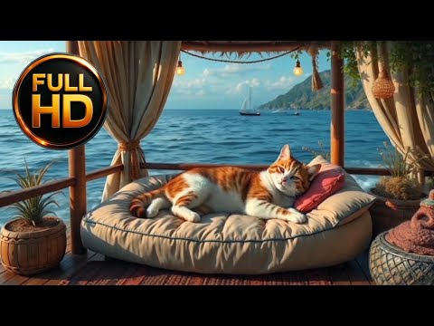 Видео: Котик отдыхает у моря 🐾 | Cat Relaxing by the Sea 🐾