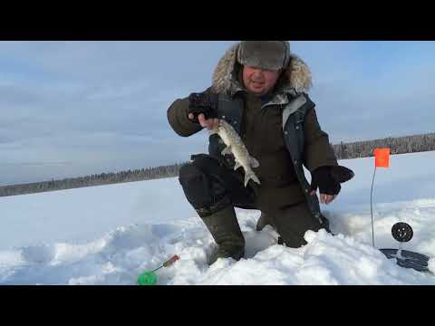 Видео: Озеро Раухова Мельница .Встреча с  Инспектором рыбнадзора.