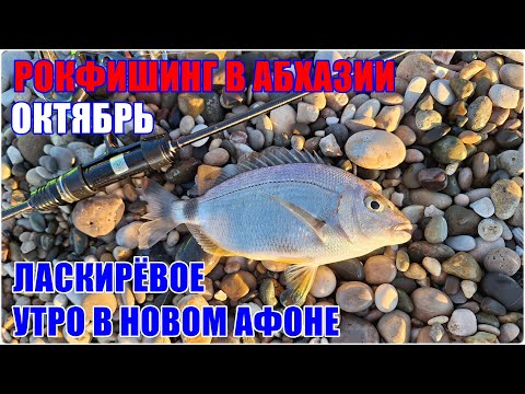 Видео: Рыбалка в Абхазии. Ласкирёвое утро в Новом Афоне с Gamakatsu Hana S69FL-solid