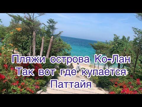 Видео: Пляжи о. Ко-Лан. Паттайя. Как добраться? Какой пляж выбрать? Есть ли жизнь под водой?