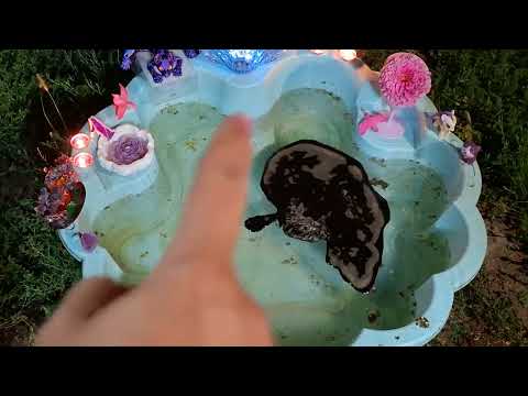 Видео: Все тайное становится явным"! Фиолетовый сфинкс решает загадки, дает ответы, разкрытие сахасрары❤️‍🔥