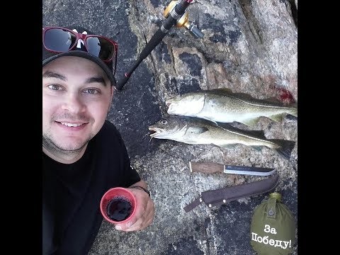 Видео: Выходной в Норвегии / Рыбалка в дальнобое / Мега клев трески :)