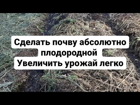 Видео: Как сделать почву абсолютно плодородной урожайной здоровой ЛЕГКО