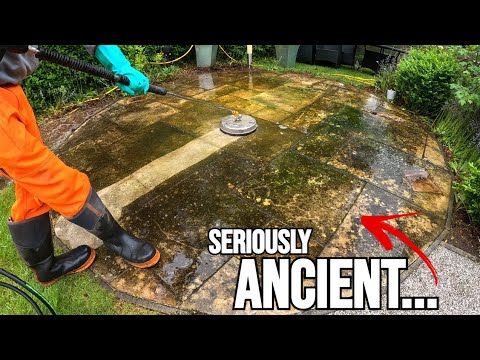 Видео: Это первая в истории чистота. Самая заплесневелая работа?