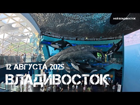 Видео: Владивосток остров Русский,Приморский океанариум (четвёртый фрагмент,12 августа 2025).