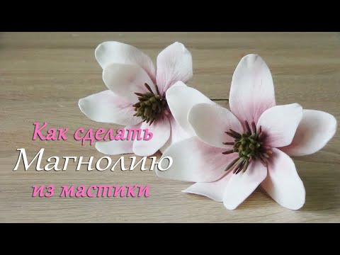 Видео: Магнолия из мастики Подробный видео урок