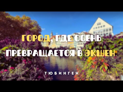 Видео: Кто сказал, что Германия скучна? Смотрите на это! 🇩🇪💥